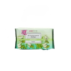 ALOE VERA ANTI-BACTERIAL WET WIPES (8PCS X 8 PACKS)